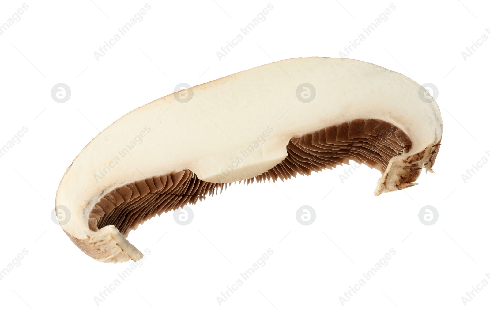 Photo of Slice of raw mushroom on white background