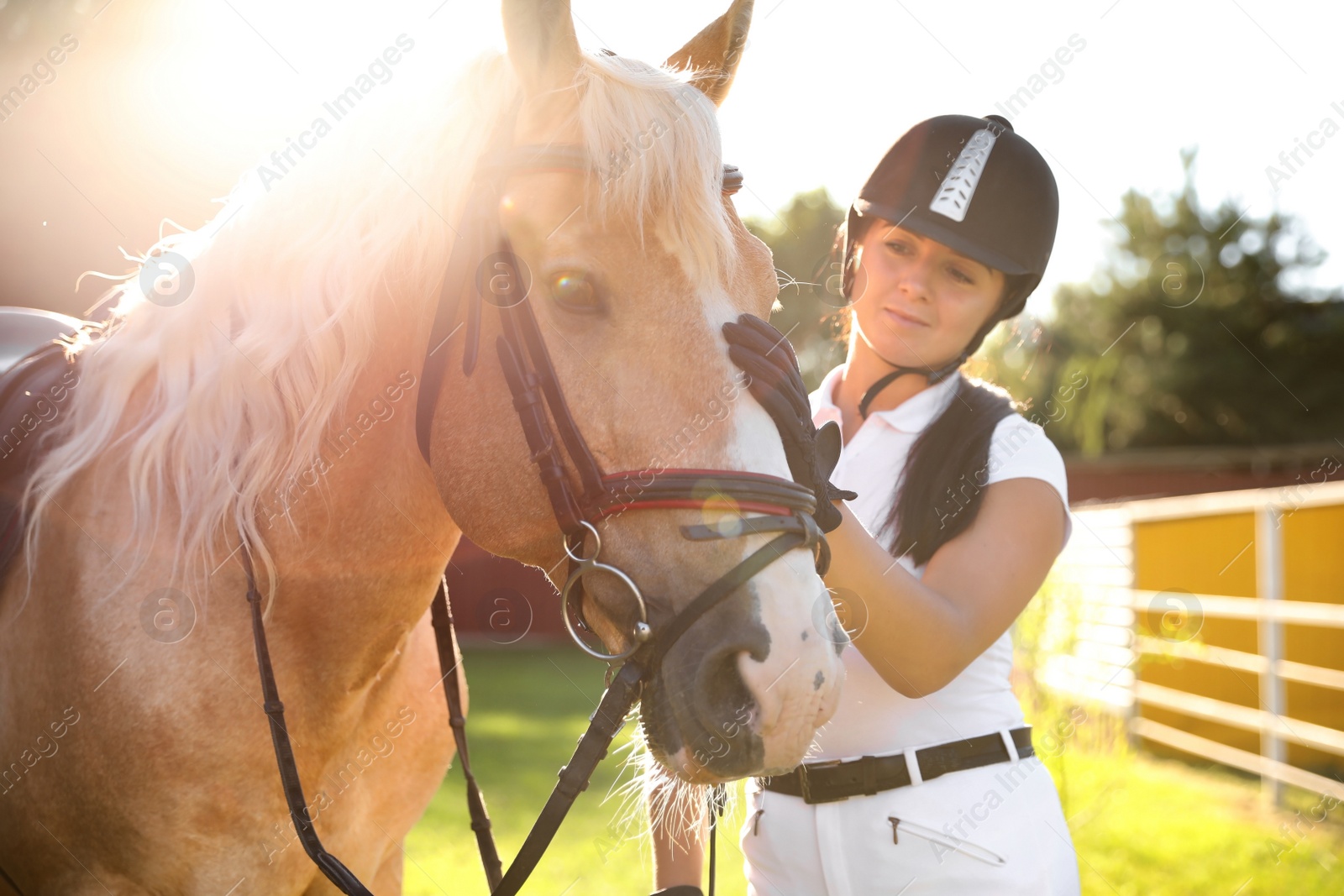 Photo of Young woman in horse riding suit and her beautiful pet outdoors on sunny day