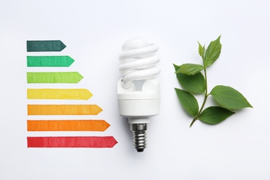 Photo of Flat lay composition with energy efficiency rating chart, fluorescent light bulb and leaves on white background