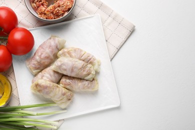 Photo of Uncooked stuffed cabbage rolls and ingredients on white table, flat lay. Space for text