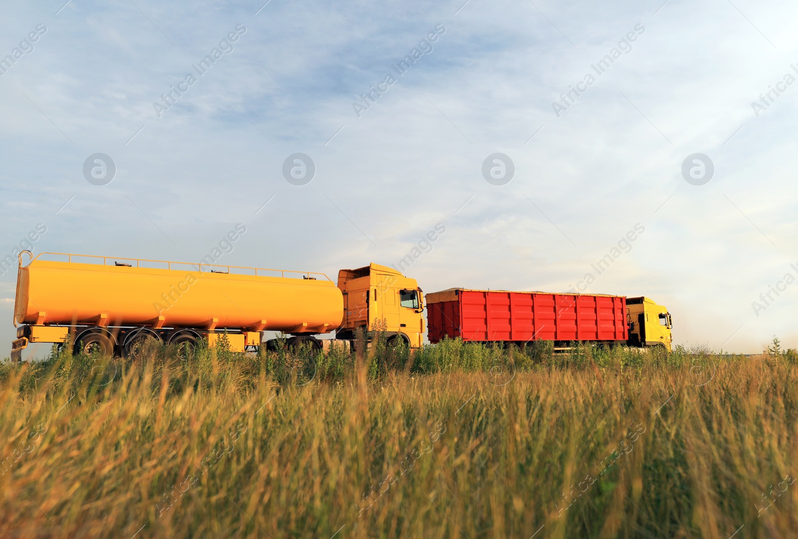 Photo of Modern bright trucks parked on country road