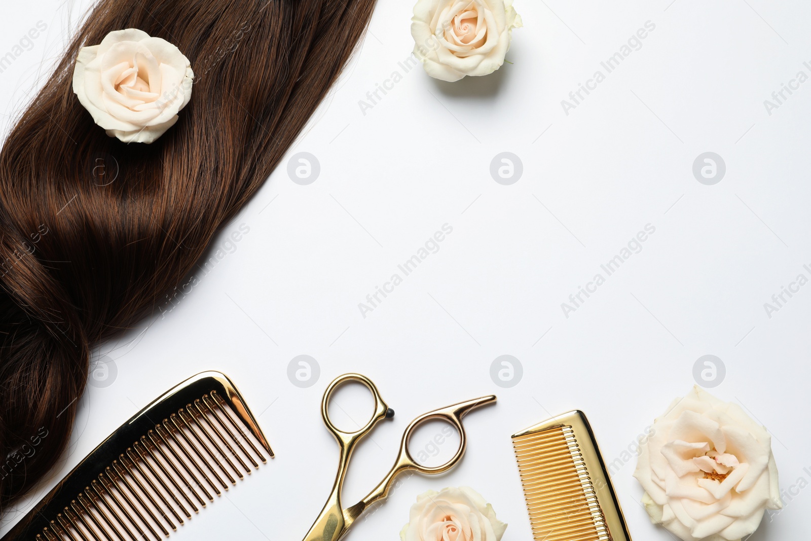 Photo of Hairdresser tools. Brown hair lock, combs, scissors and flowers on white background, flat lay. Space for text