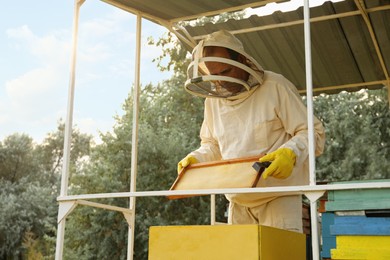 Photo of Beekeeper in uniform with honey frame at apiary