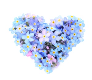 Photo of Heart made of amazing spring forget-me-not flowers on white background, top view