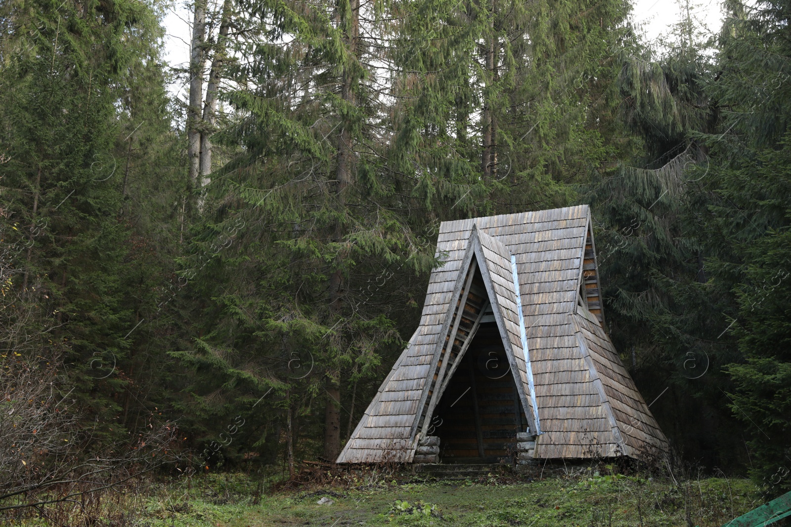 Photo of Empty wooden pavilion among green trees in forest