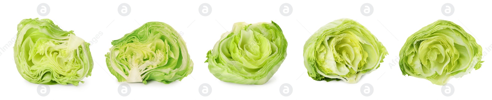 Image of Collage with fresh cut lettuce heads on white background