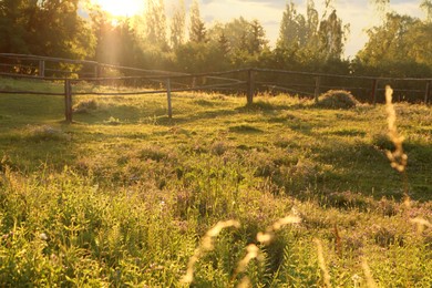 Photo of Picturesque view of countryside with wooden fence in morning