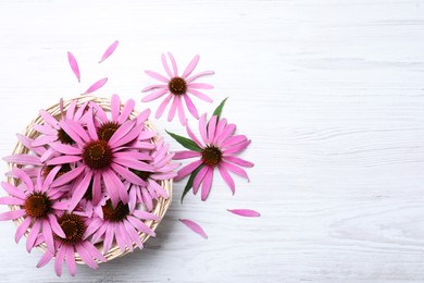 Photo of Beautiful echinacea flowers on white wooden table, flat lay. Space for text