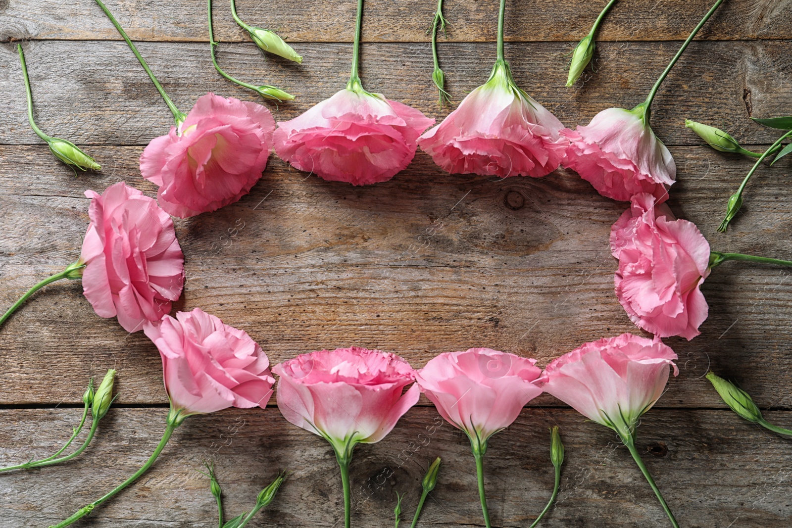 Photo of Flat lay composition with beautiful Eustoma flowers on wooden background