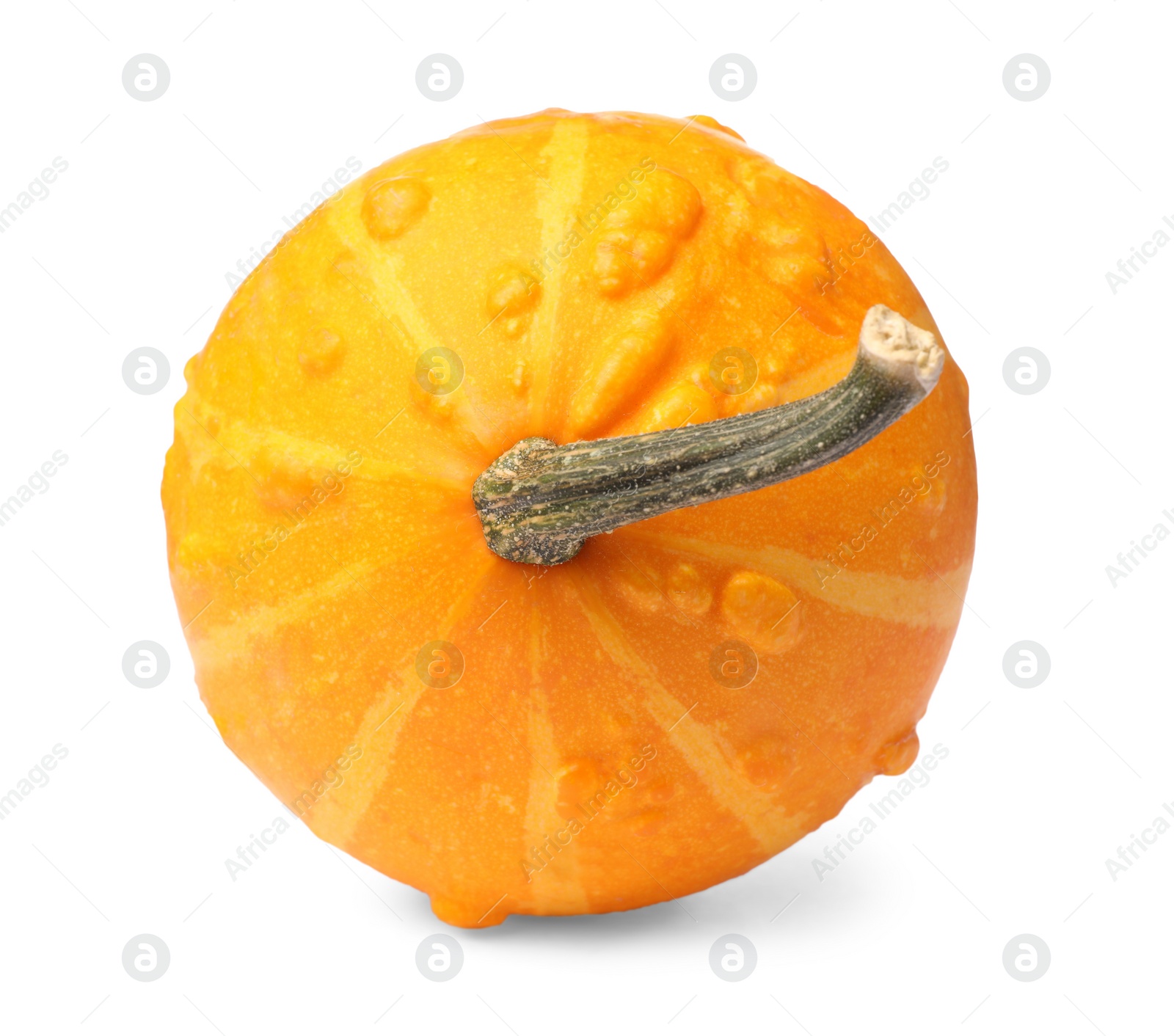 Photo of One fresh orange pumpkin isolated on white