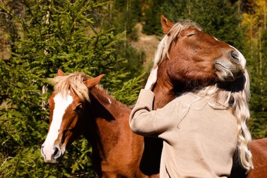 Woman hugging beautiful horse outdoors on sunny day