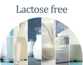 Collage with photos of lactose free dairy products on white background