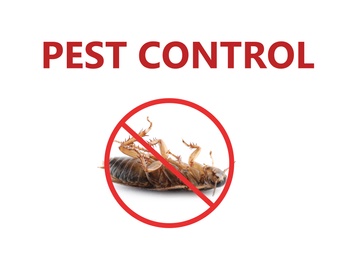 Image of Dead cockroach with red prohibition sign on white background. Pest control