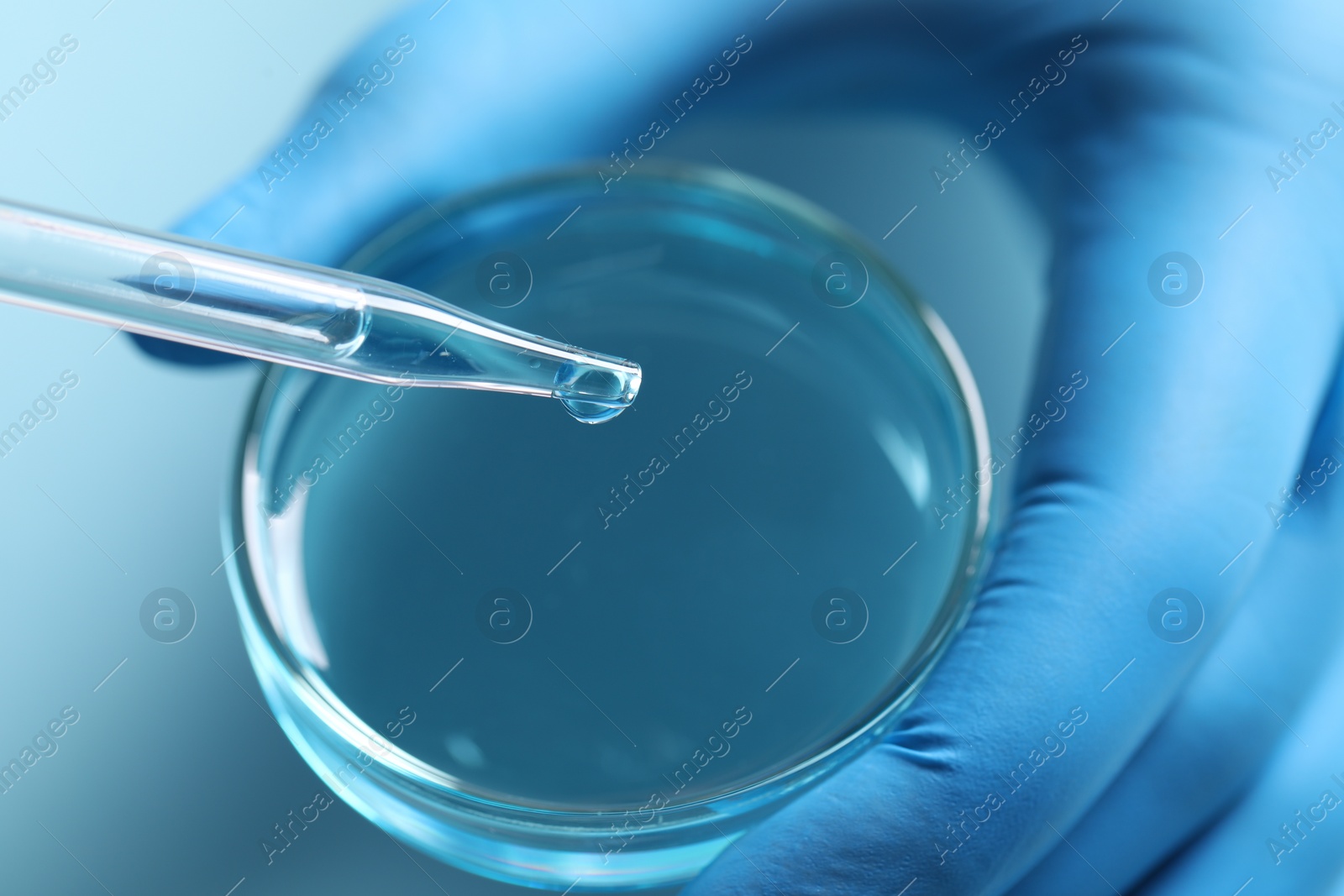 Photo of Doctor dripping liquid from pipette into petri dish at light blue table, closeup. Laboratory analysis