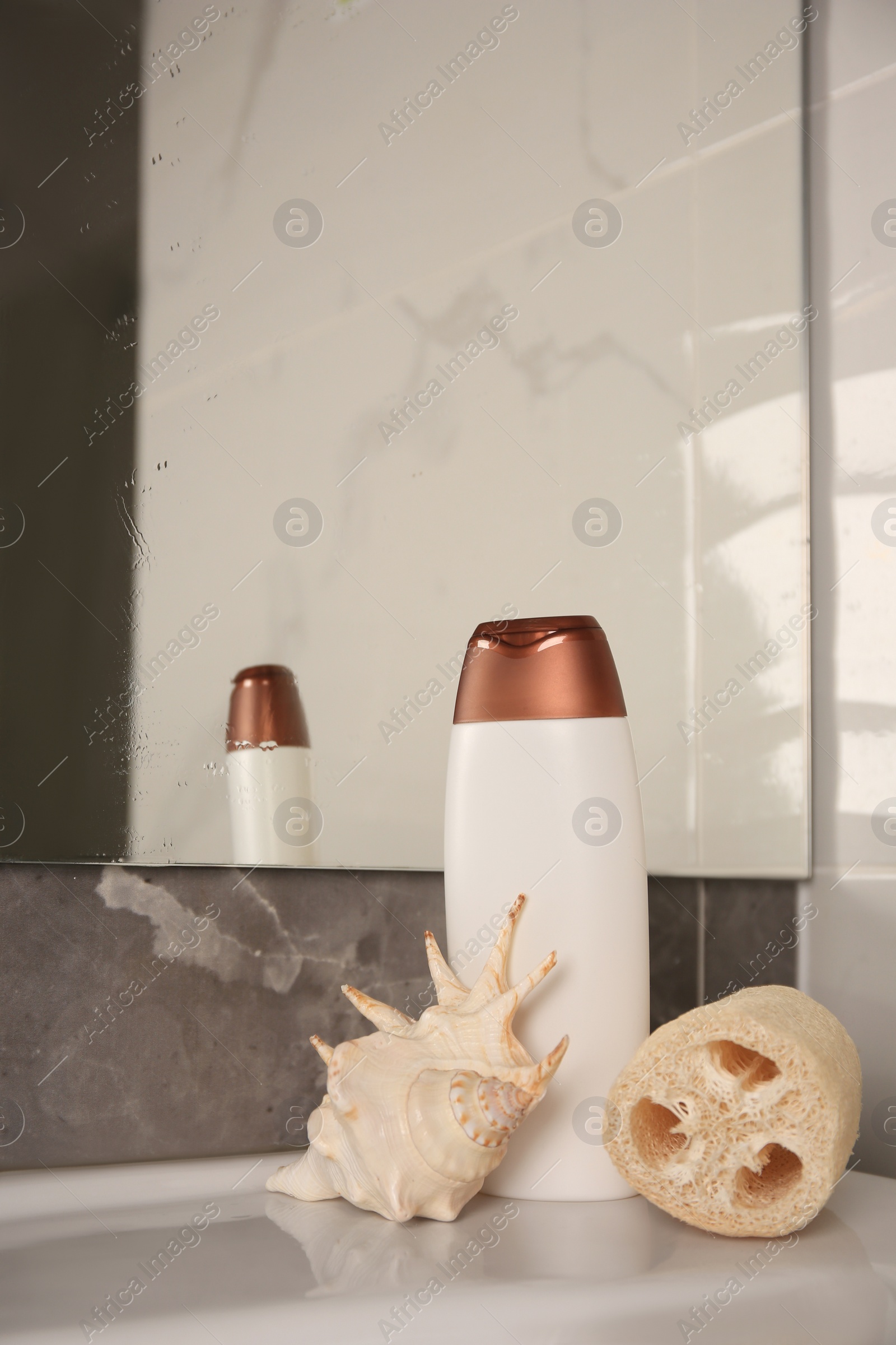 Photo of Natural loofah sponge, seashell and bottle of shower gel on washbasin in bathroom, space for text