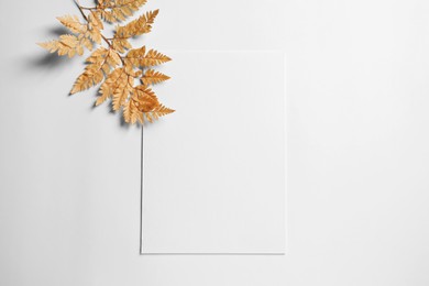 Photo of Empty sheet of paper and dry decorative leaves on white background, flat lay. Mockup for design