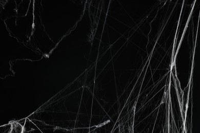 Photo of Creepy white spider web on black background