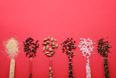 Photo of Glass tubes with different spices on red background, flat lay. Space for text
