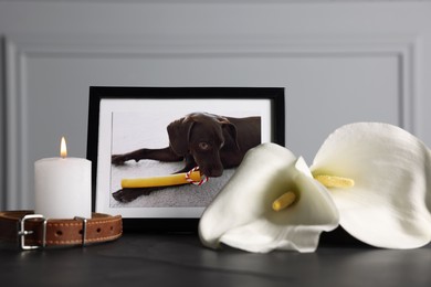 Photo of Frame with picture of dog, collar, burning candles and calla flowers on black table, closeup. Pet funeral