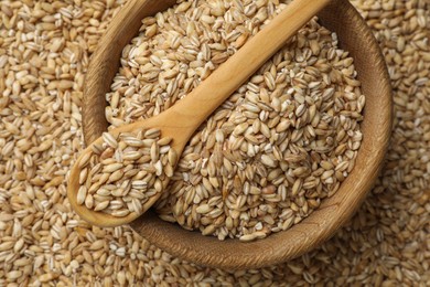 Pearl barley in bowl and spoon on dry grains, top view