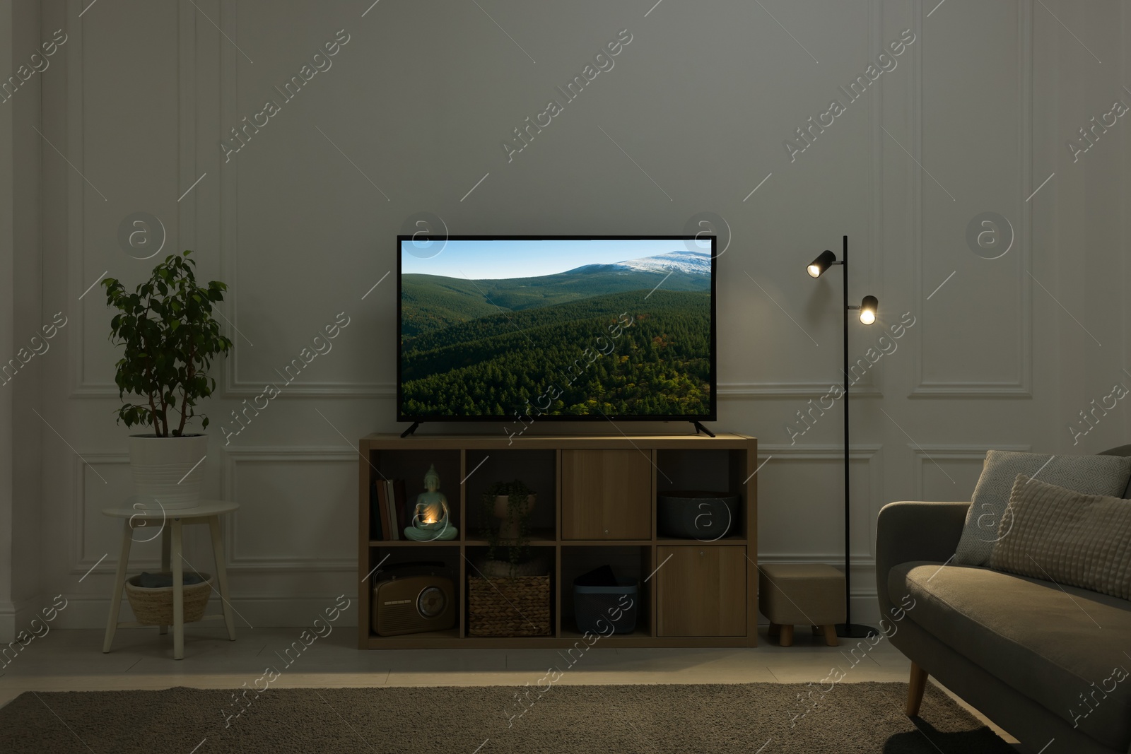 Image of Modern TV set on wooden stand in room. Scene of nature themed movie on screen