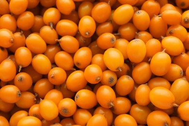 Fresh ripe sea buckthorn berries as background, top view