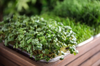 Photo of Fresh organic microgreens in wooden crate, closeup