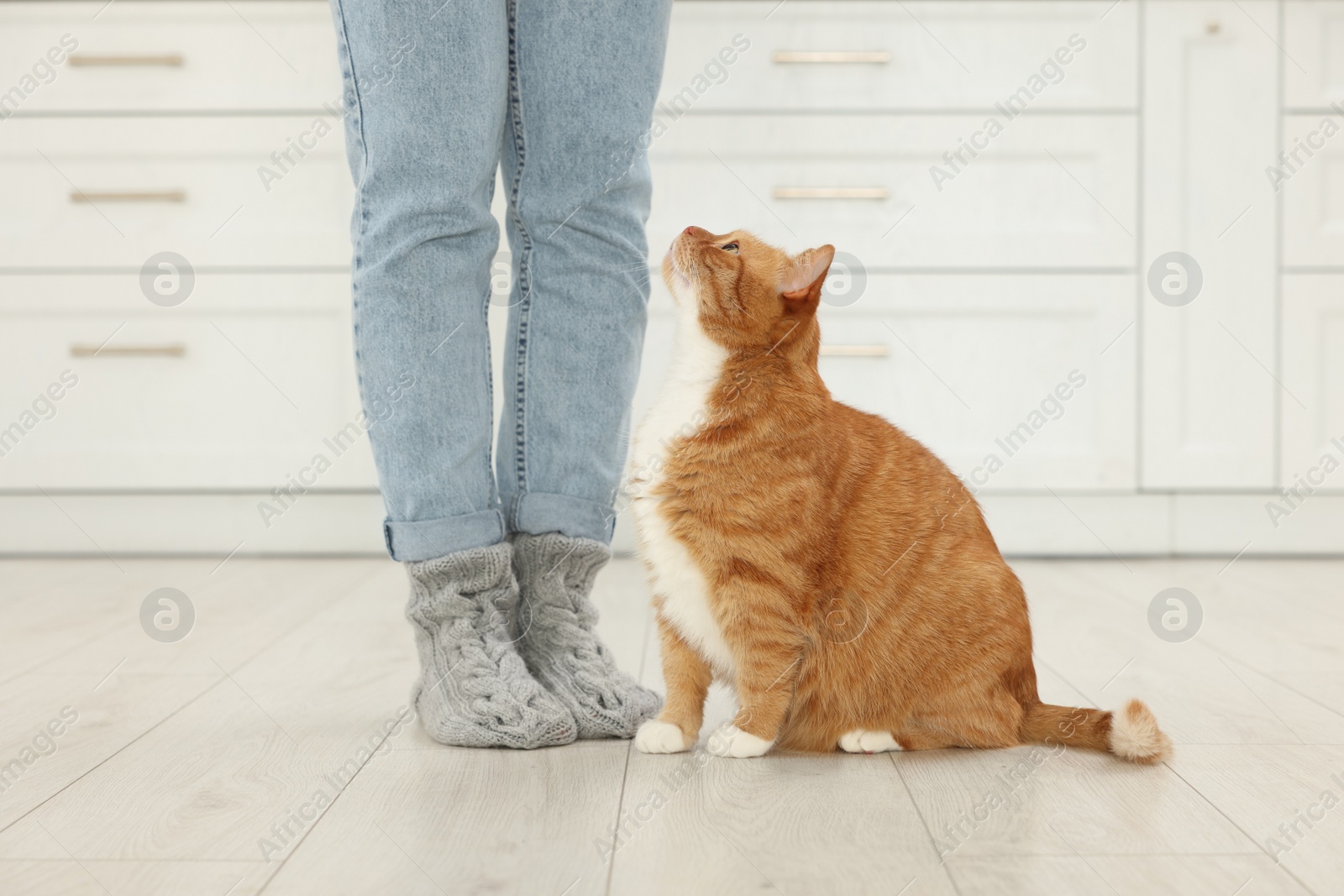 Photo of Woman with cute cat at home, closeup