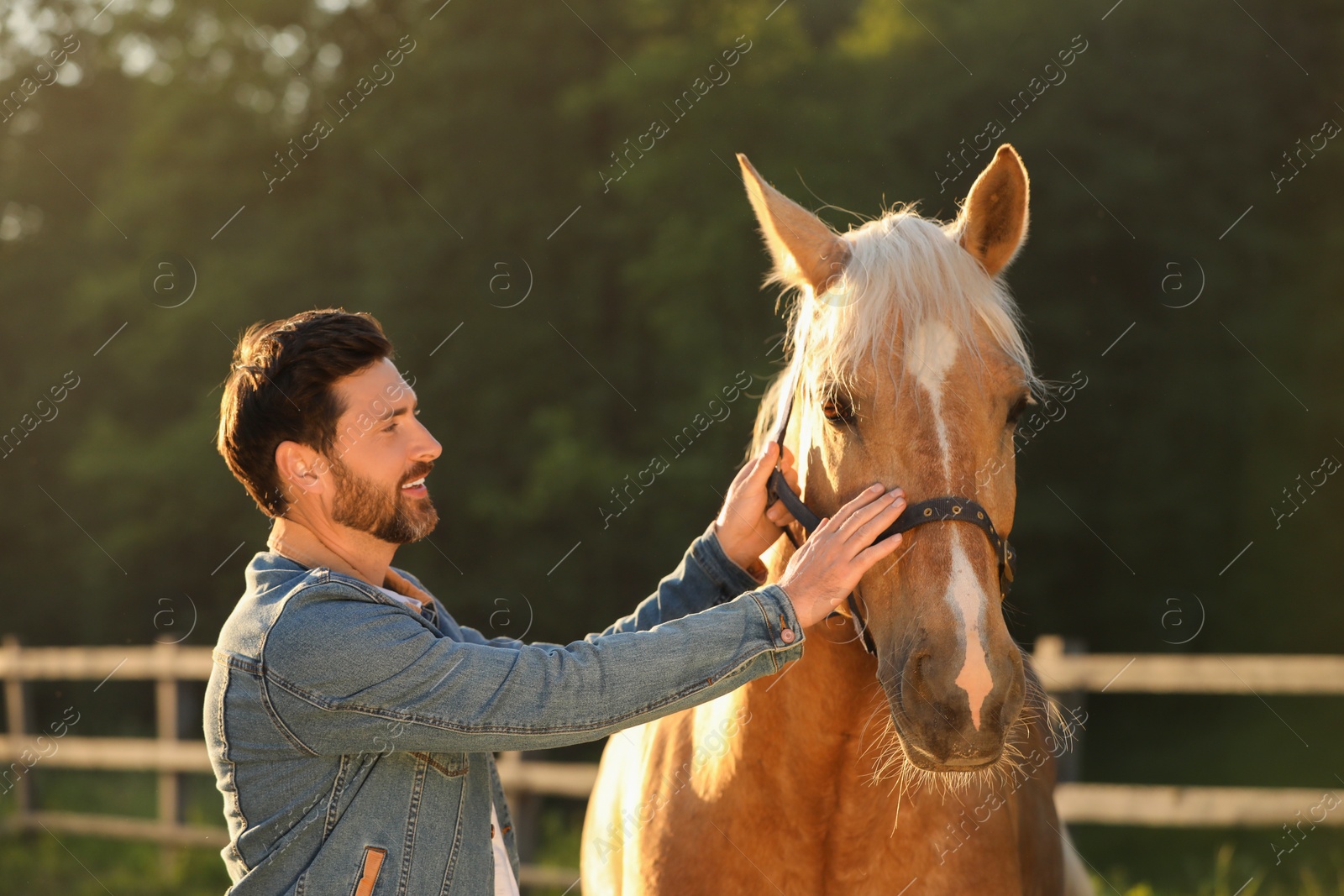 Photo of Man with adorable horse outdoors. Lovely domesticated pet