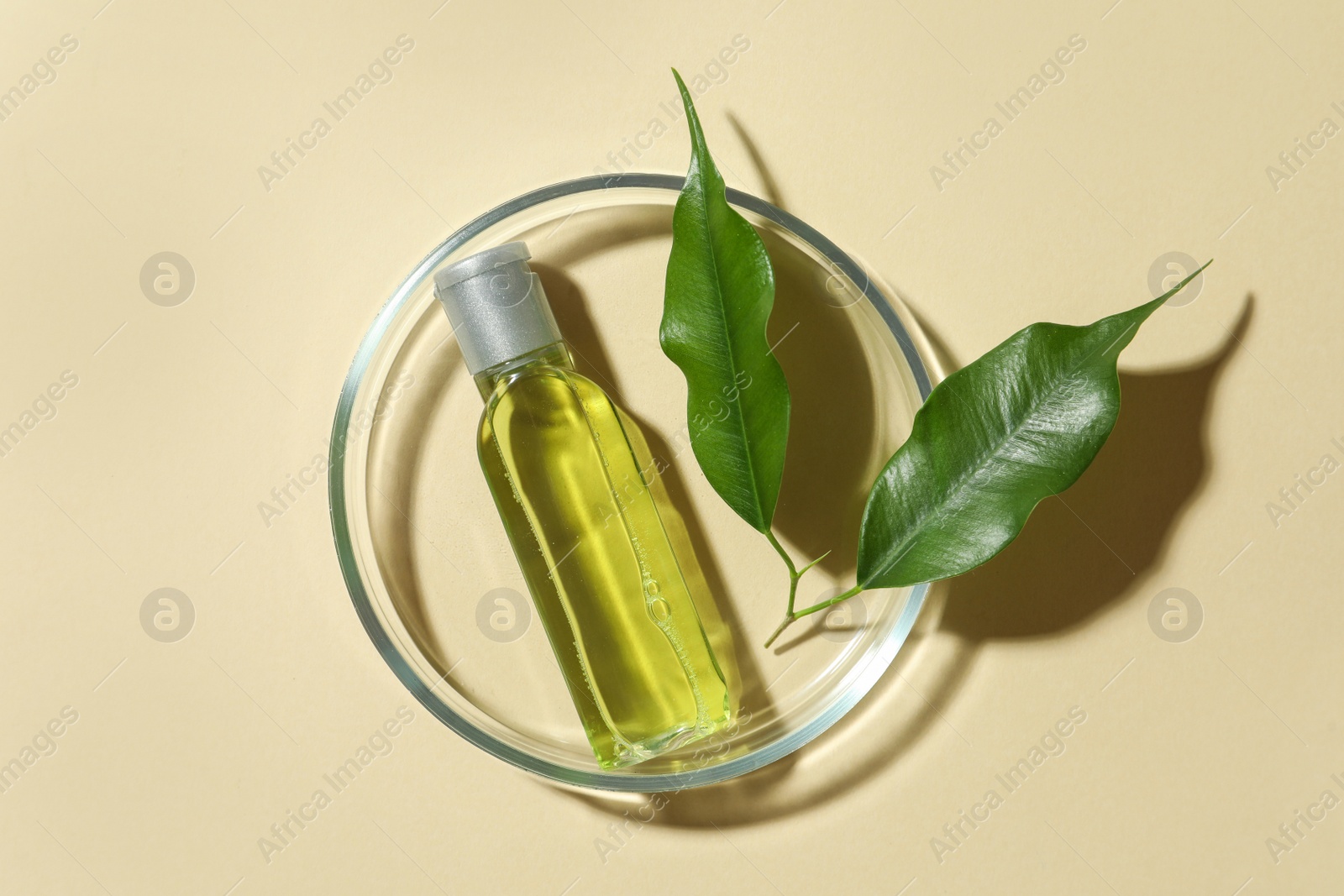 Photo of Petri dish with cosmetic product and leaves on beige background, top view