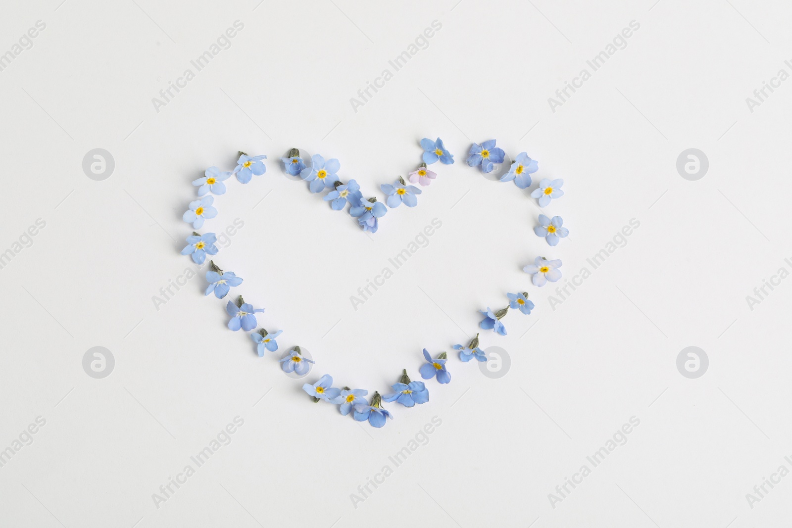 Photo of Heart made with beautiful forget-me-not flowers on white background, top view. Space for text