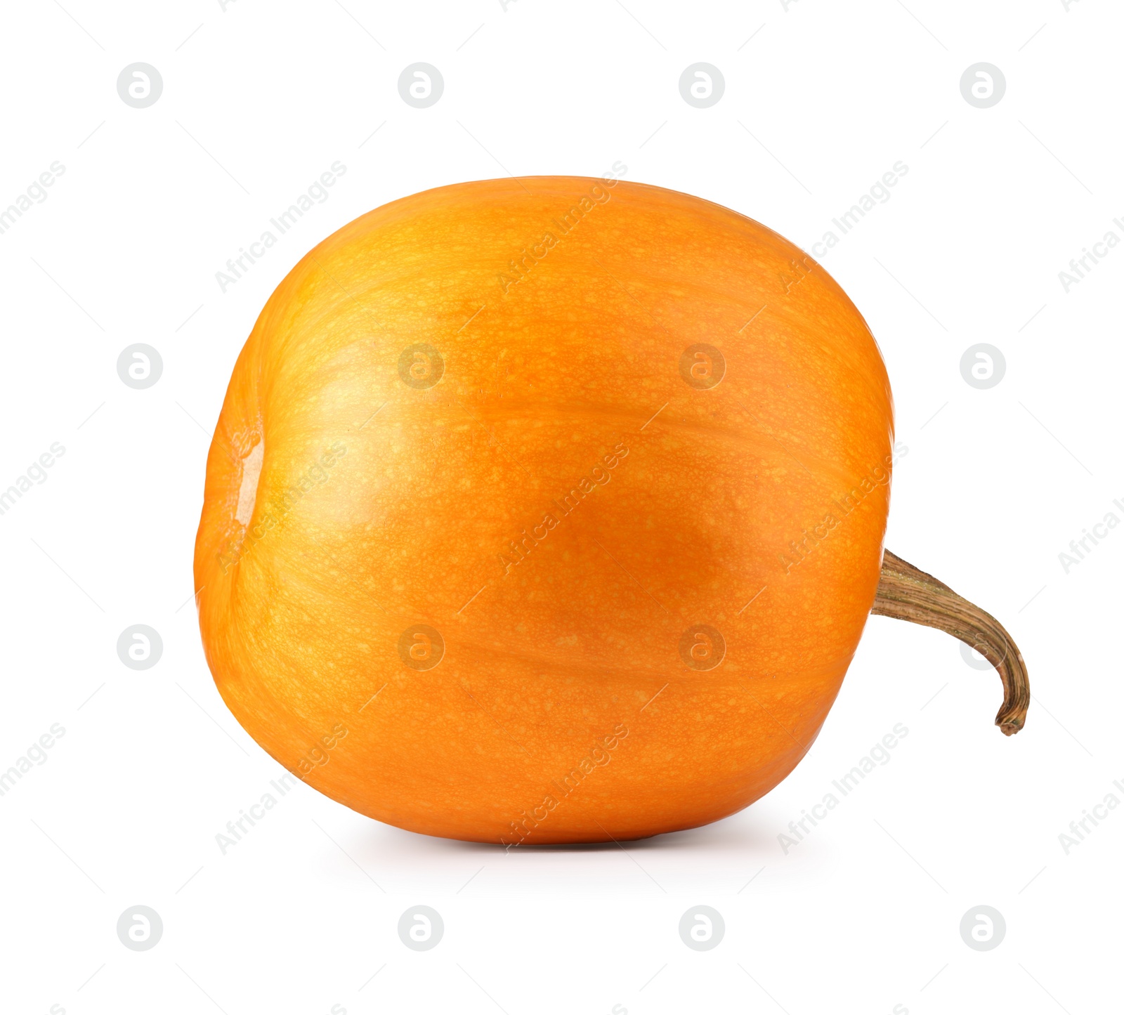 Photo of One fresh orange pumpkin isolated on white