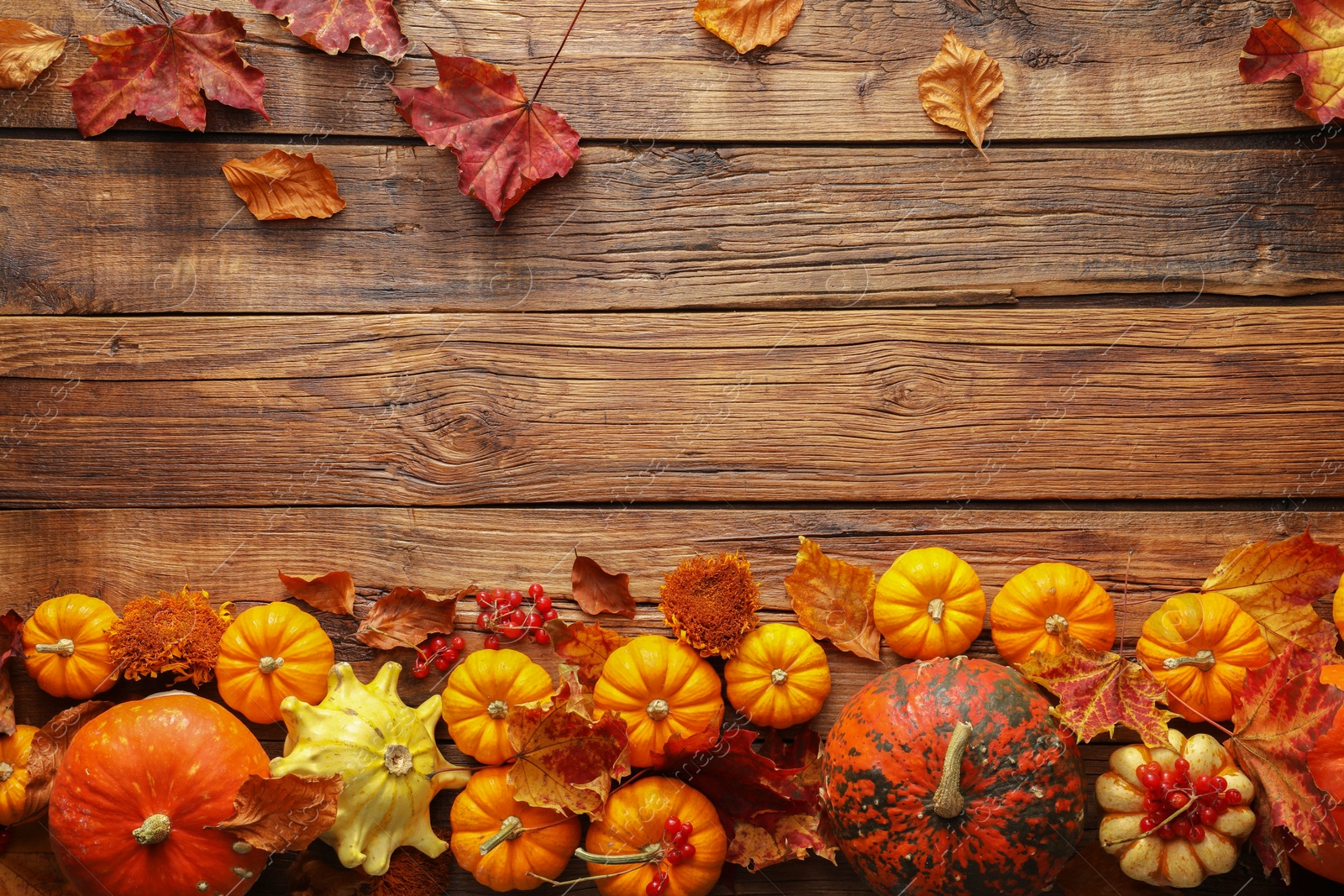 Photo of Dry autumn leaves and pumpkins on wooden table, flat lay. Space for text