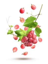 Image of Fresh ripe grapes with green leaves falling on white background