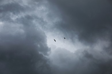 Picturesque view of birds in sky with heavy rainy clouds