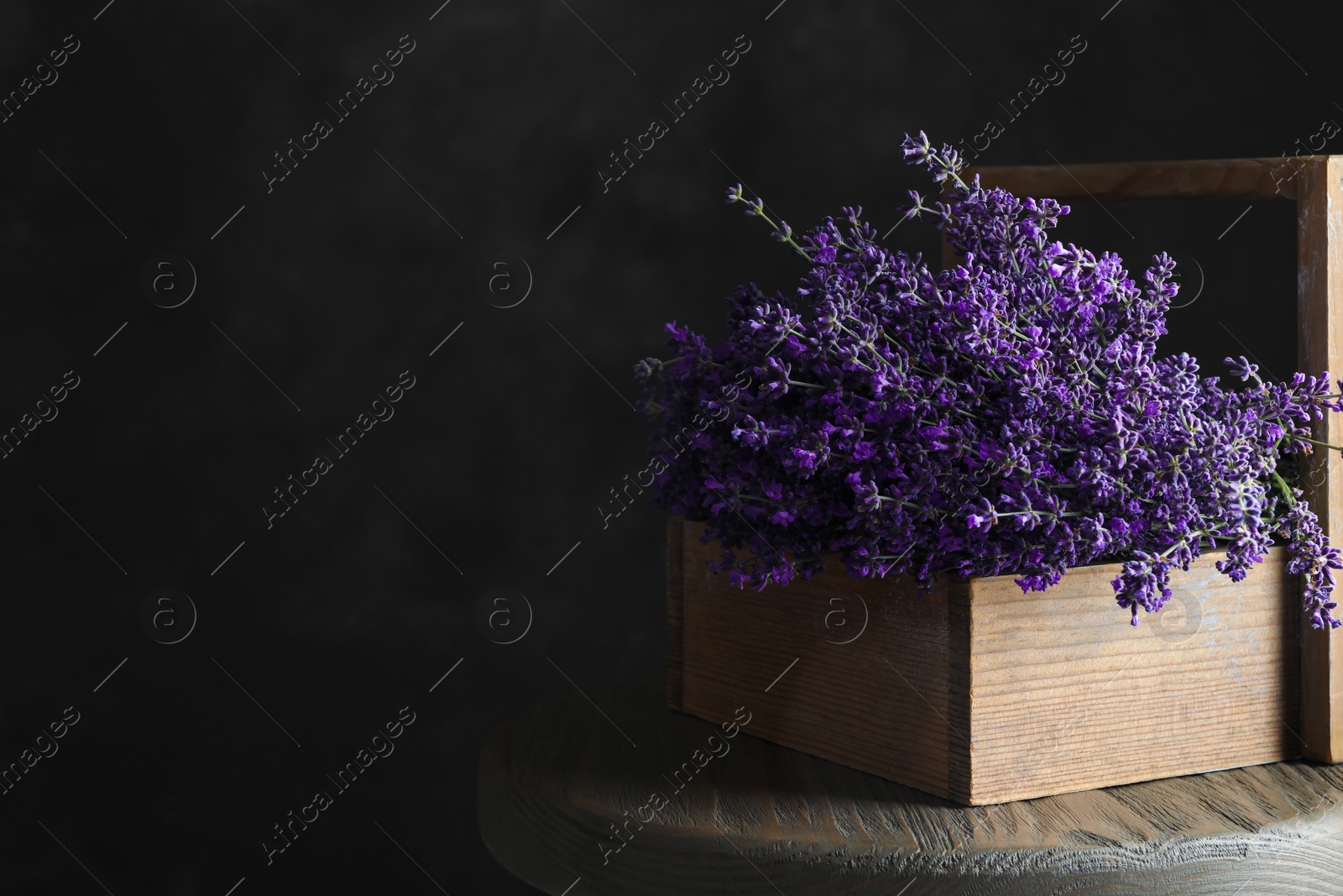Photo of Beautiful lavender flowers in wooden basket on table against dark background. Space for text