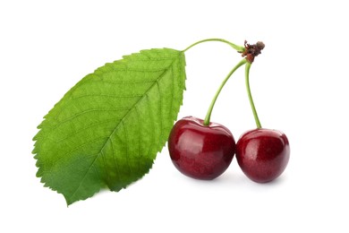Photo of Ripe sweet cherries with green leaf isolated on white