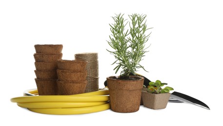 Photo of Different modern gardening tools on white background