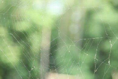 Photo of Old dusty cobweb on blurred background, closeup