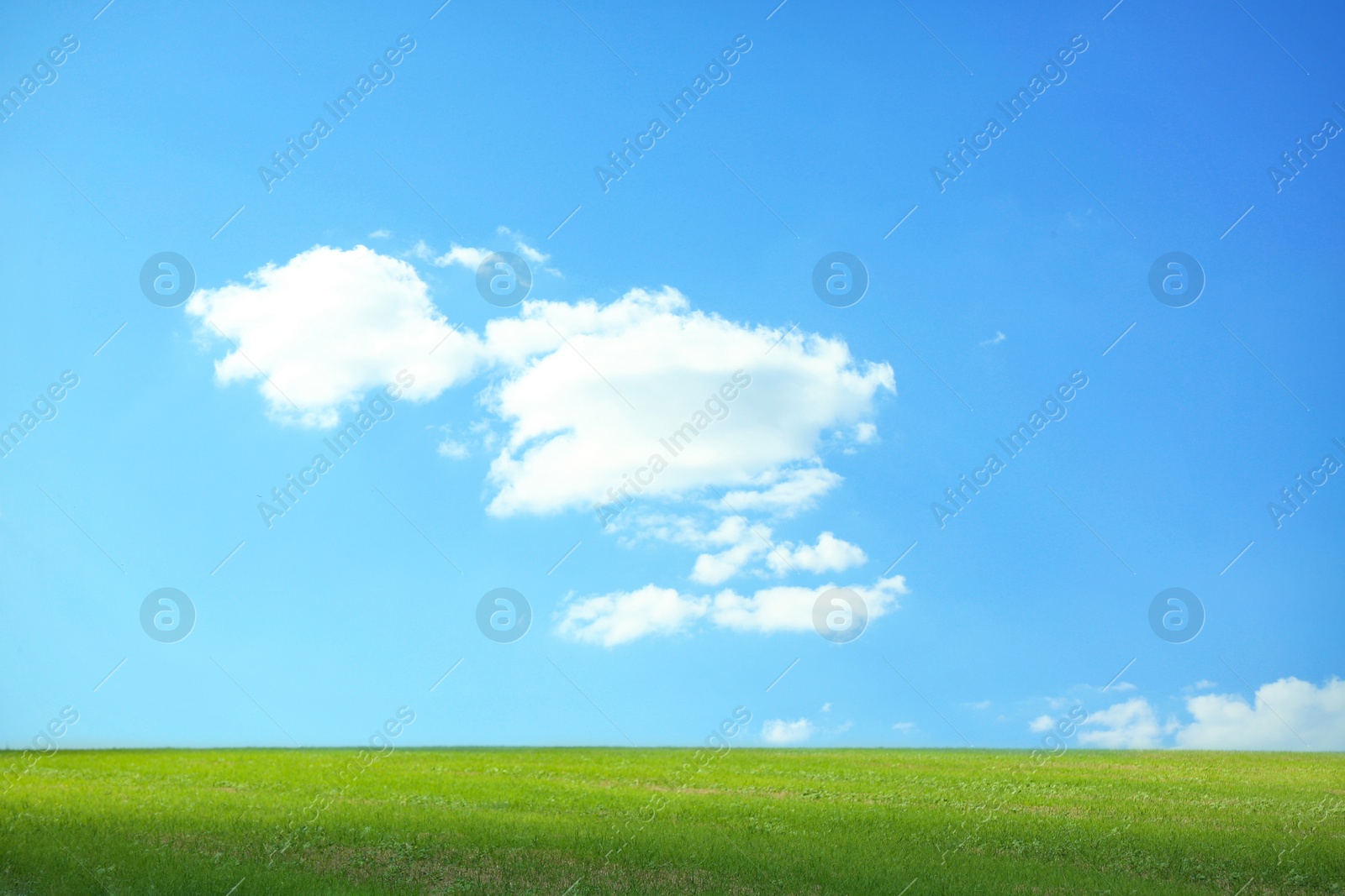 Photo of Beautiful landscape with green grass on sunny day