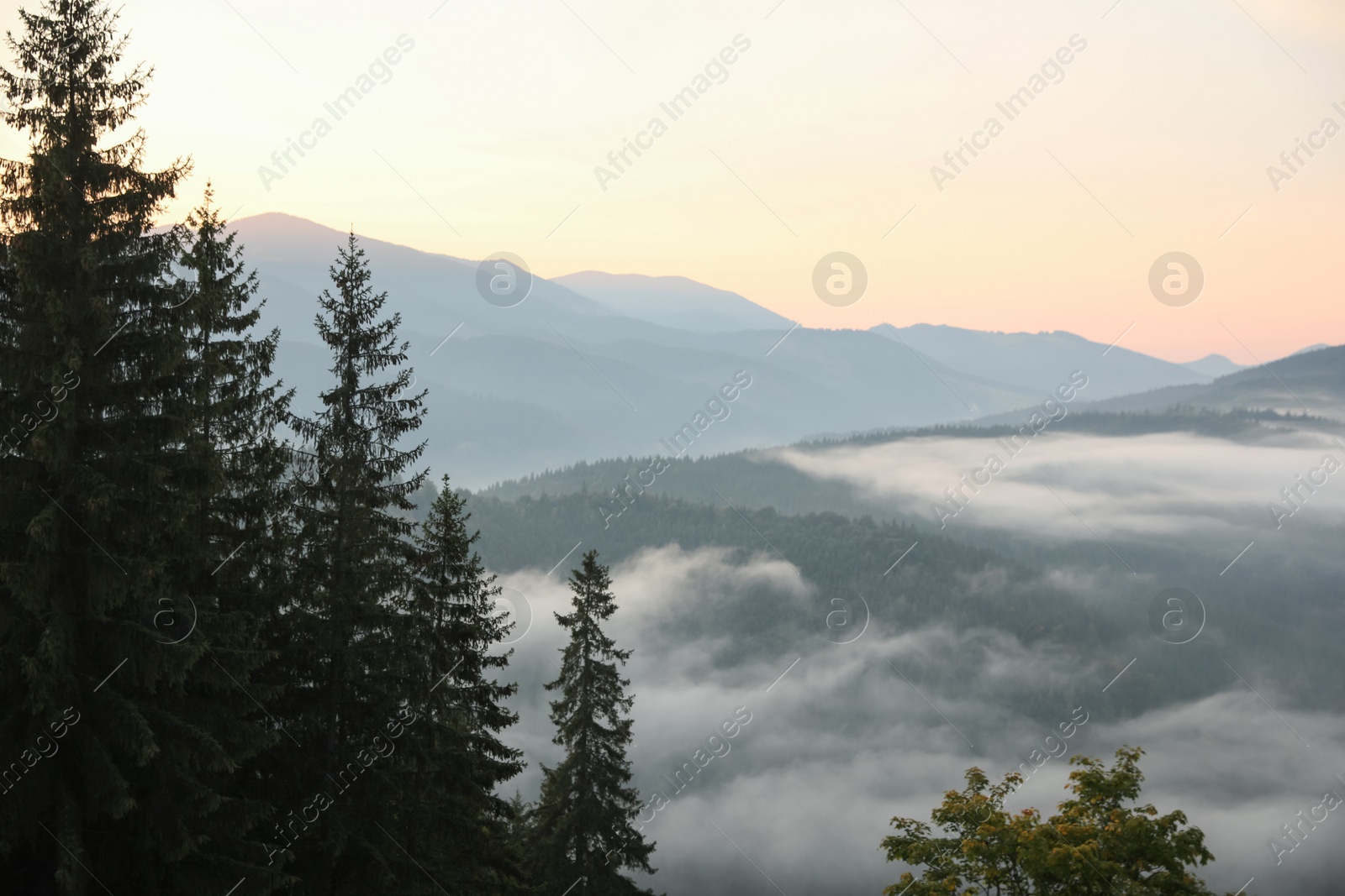 Photo of Beautiful view of mountains covered with fog