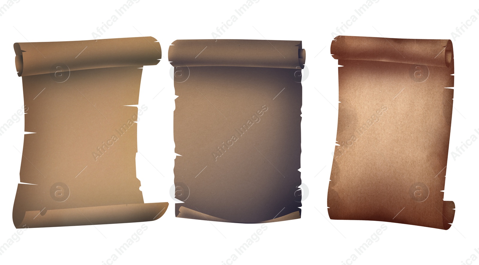 Illustration of Old parchment scrolls on white background, illustration. Banner design