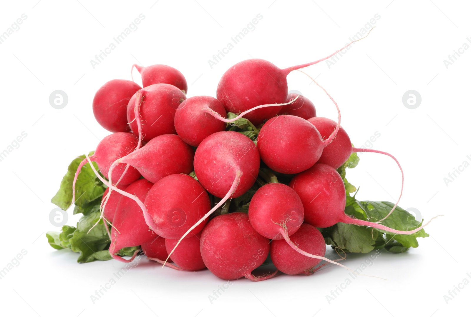 Photo of Bunch of fresh ripe radish isolated on white