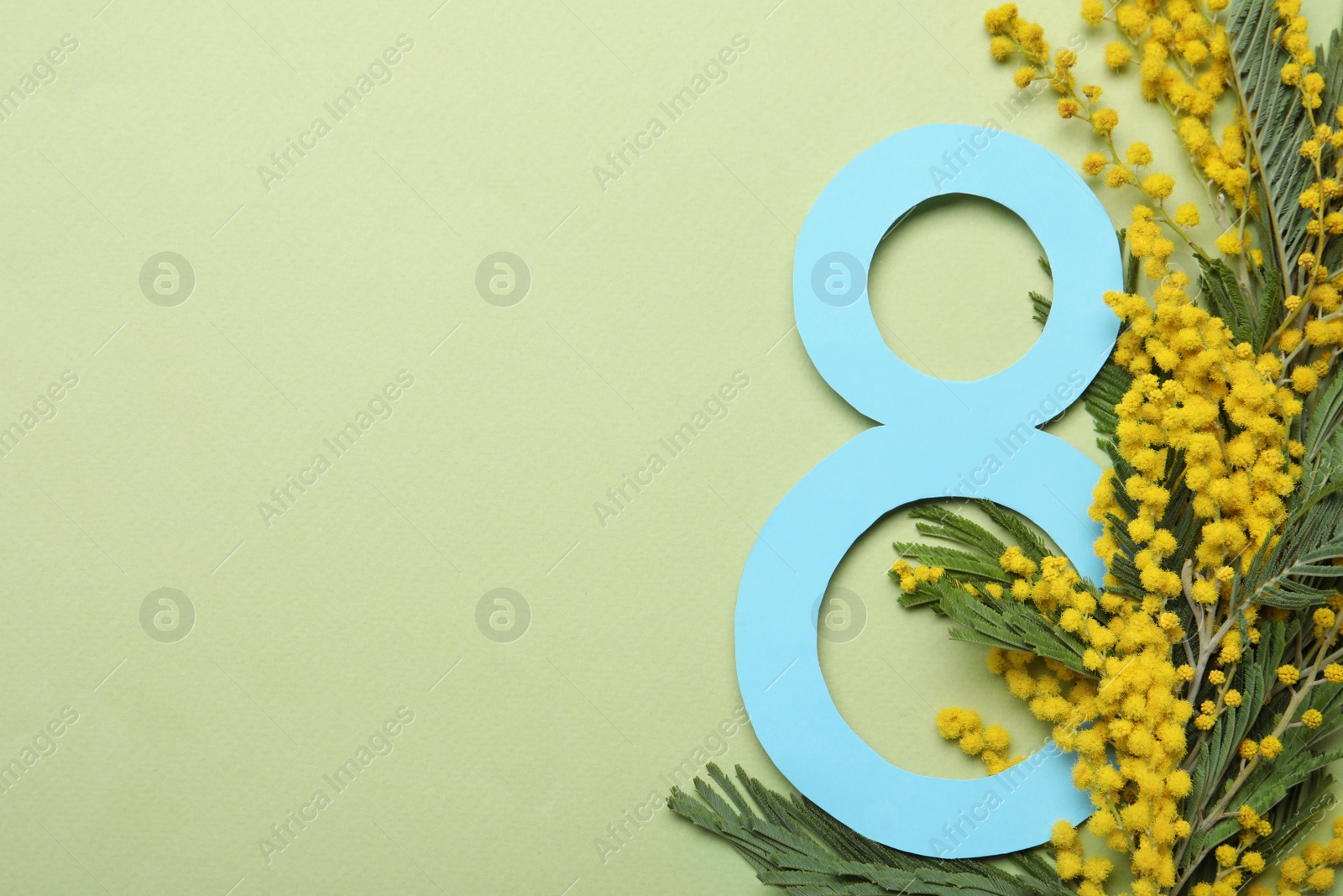 Photo of 8 March greeting card design with beautiful mimosa flowers on green background, flat lay. Space for text
