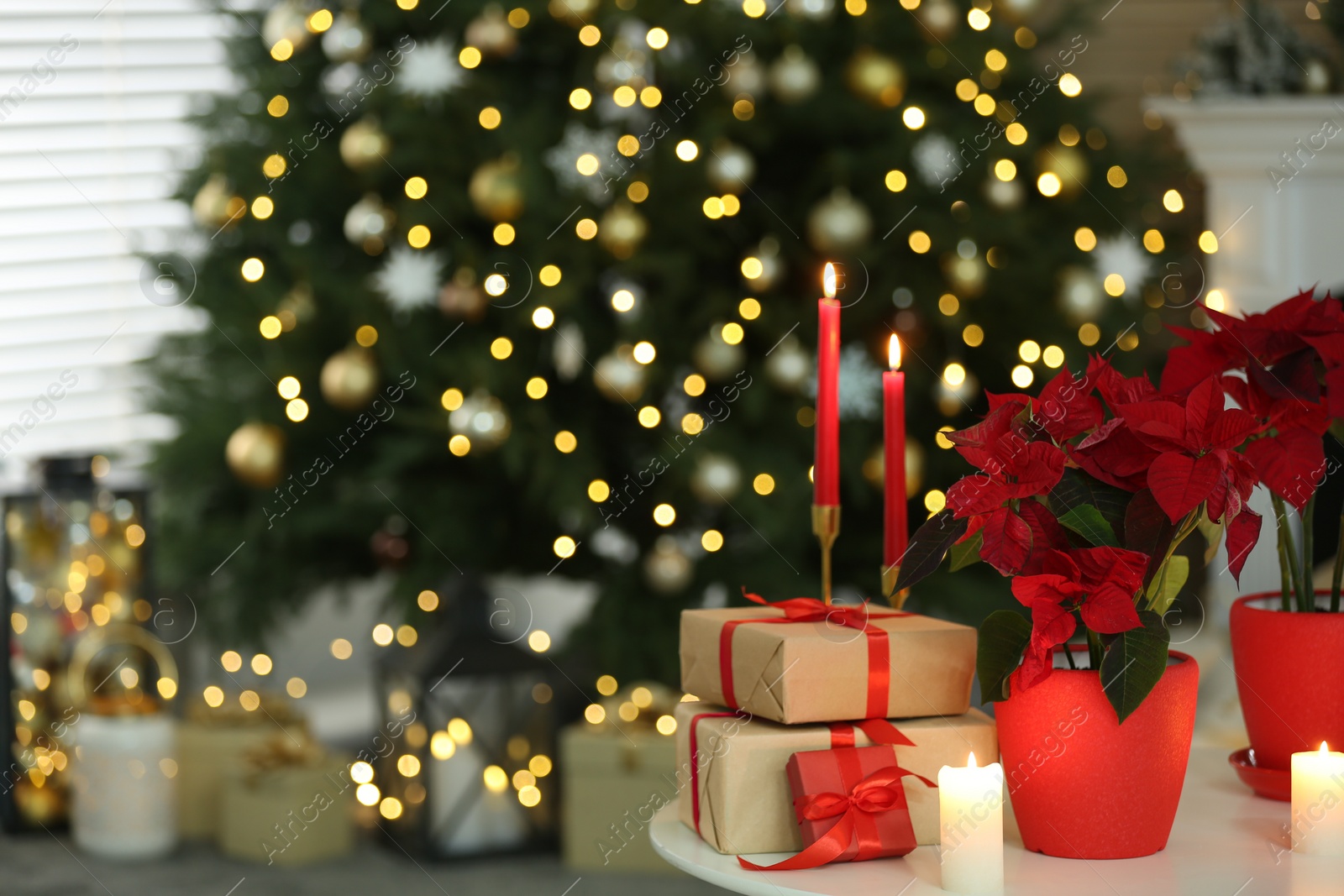 Photo of Potted poinsettias, burning candles and festive decor on white table in room, space for text. Christmas traditional flower