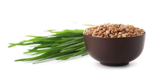 Bowl with seeds and wheat grass on white background