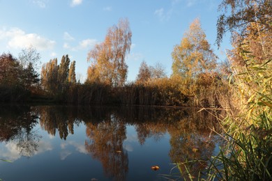 Picturesque view of lake and trees on autumn day