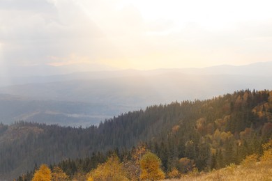 Beautiful landscape with forest in mountains on autumn day