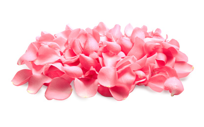 Pile of fresh pink rose petals on white background