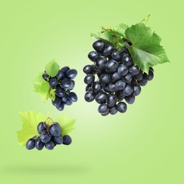 Image of Fresh grapes and leaves in air on light green background